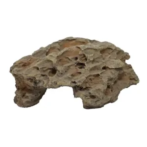 Letzte Chance Hobby Comb Cave 2