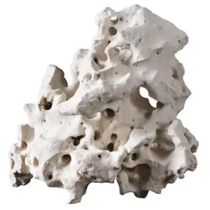 Sofort Bestellen Hobby Lochgestein asiatisch L, 2-3,5 kg