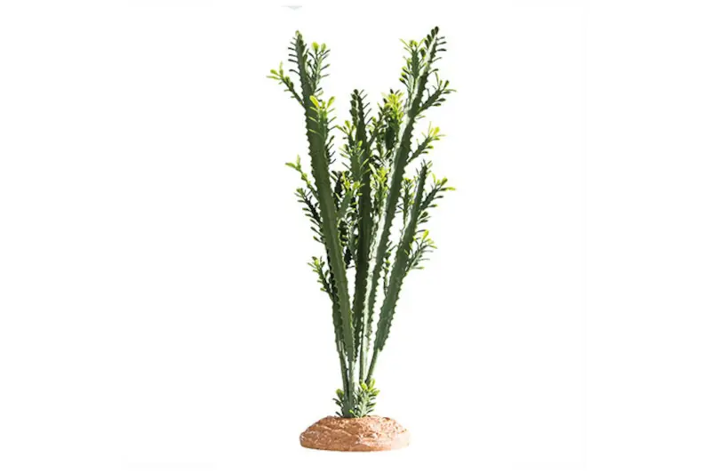 Hobby Euphorbia L, Kunstpflanze Markenware