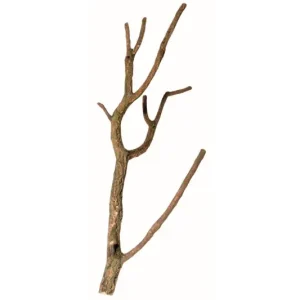 Hobby Korktronchos S, 40-50 cm lang Super-Preis
