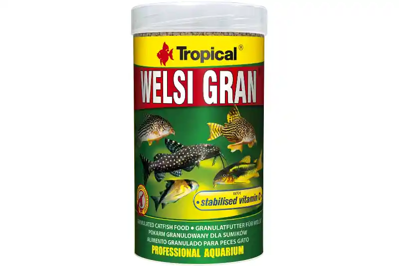 Günstig Tropical Welsi Gran, 250 ml