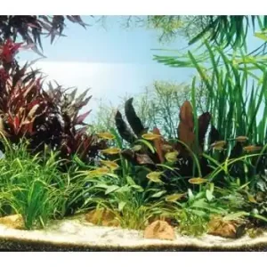 Neu Kupfer-Salmler, 80 x 35 x 40 cm, Aquarienpflanzen-Set, Pflanzensortiment