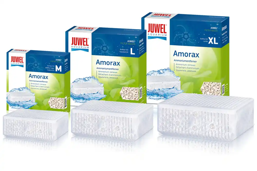 Preiswert Juwel Amorax, Ammoniumentferner-Einsatz, Größe L