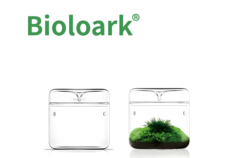 Angebot Bioloark Luji Glass Cup MY-120, Biosphären-Glas