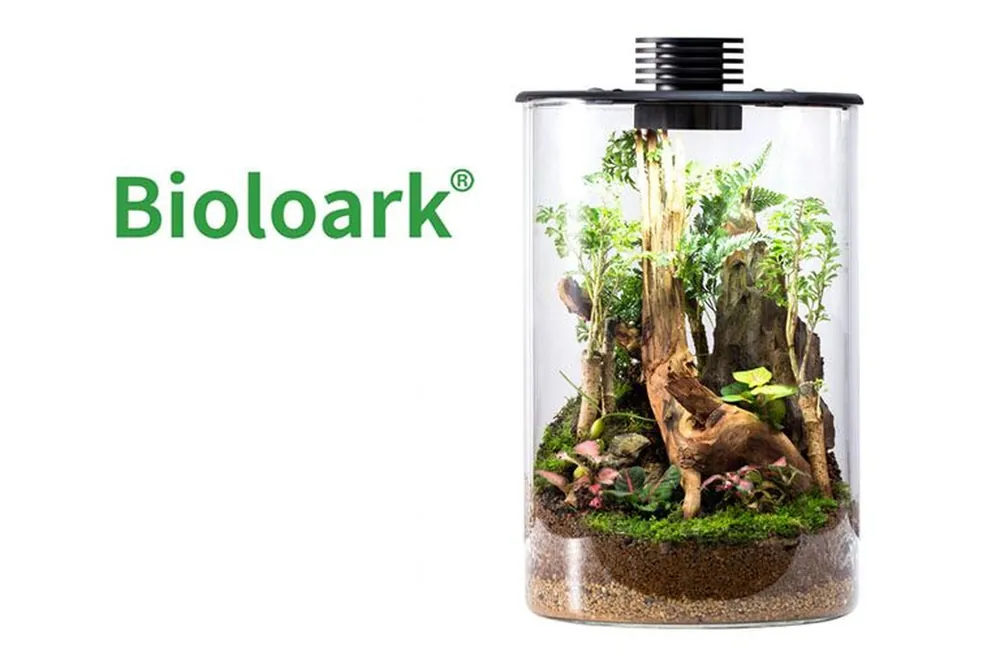 Bioloark Bio Bottle ZD200 Wabi-Kusa / Biosphäre, Zylinderform Begrenztes Angebot