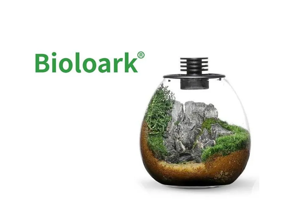 Jetzt Bestellen Bioloark Bio Bottle PD170 Wabi-Kusa / Biosphäre, Kugelvase