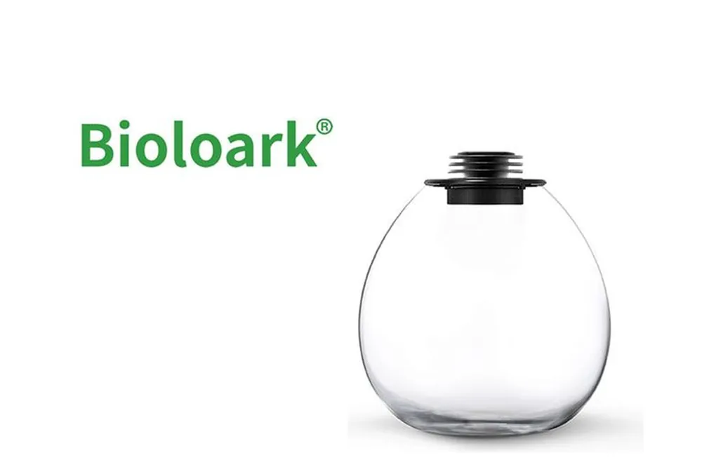 Bioloark Bio Bottle QD205 Wabi-Kusa / Biosphäre, Bauchglas Jetzt Kaufen