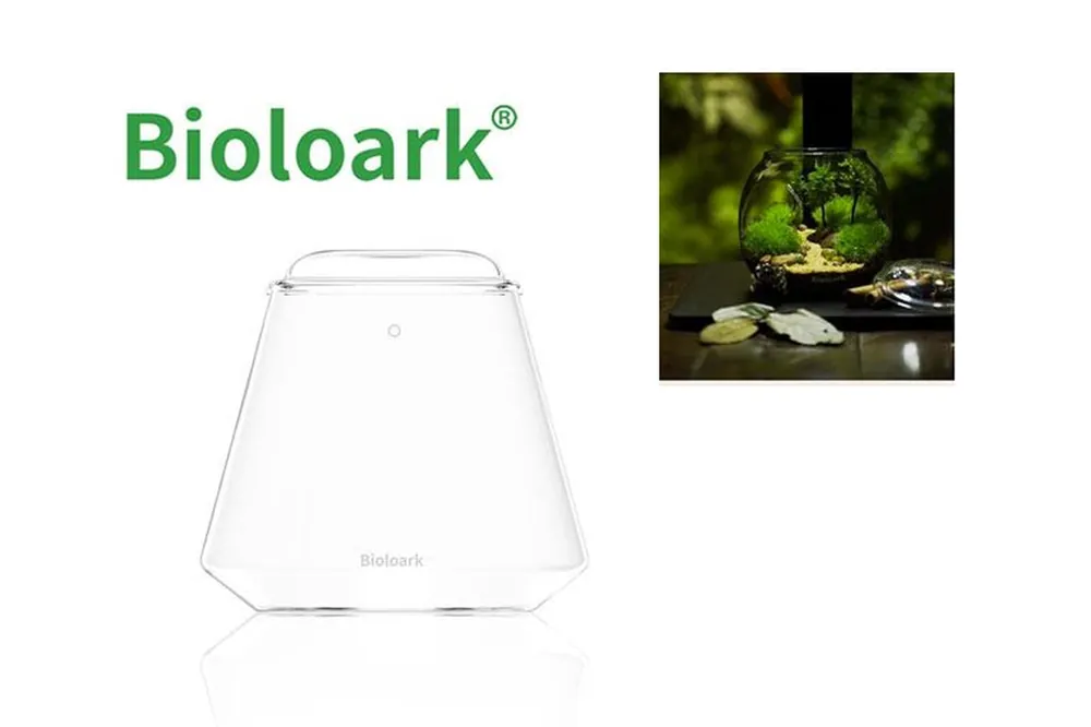 Bioloark Bubble Cup TWO, Wabi-Kusa Glas Highlight