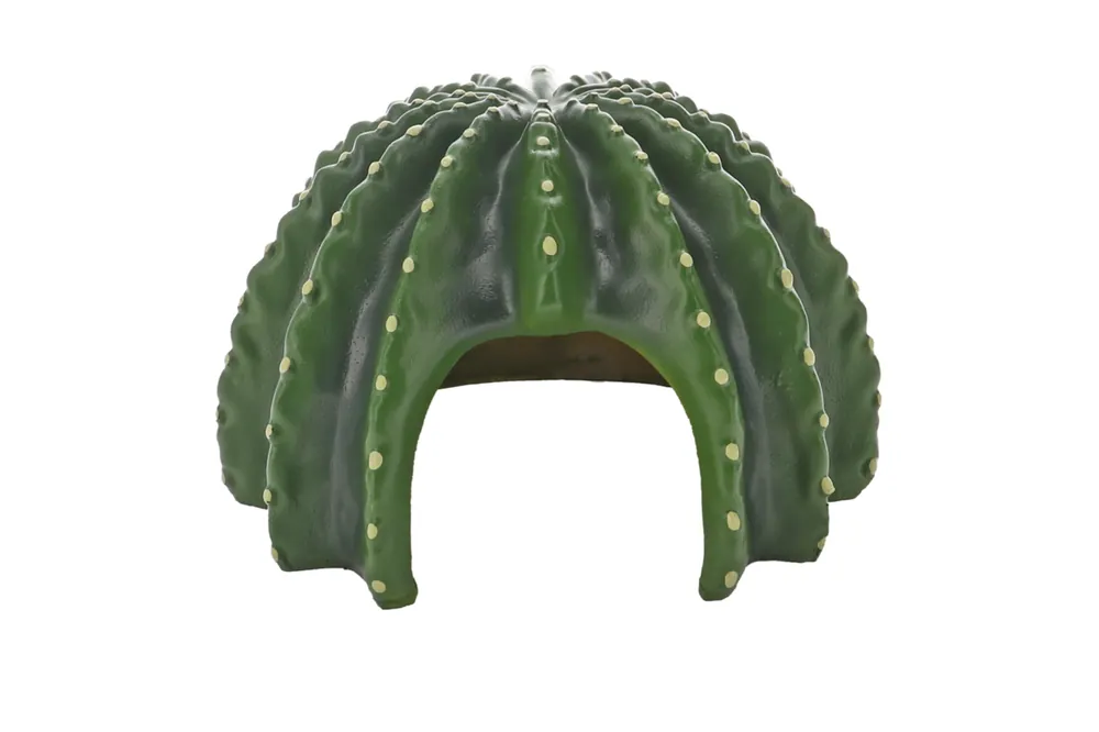 Hobby Cactus Home 2 Bestpreis