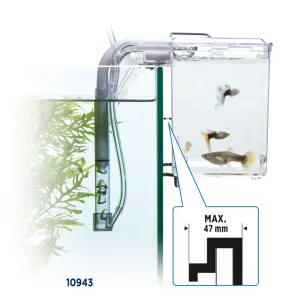 Preisknaller Fluval Hang on Aufzuchtbecken L (2 ,0 l)
