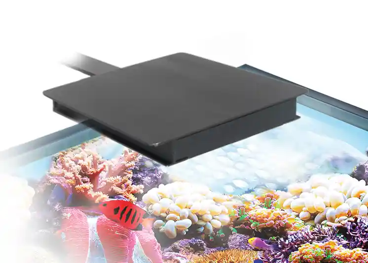 Begrenztes Angebot Fluval Nano Marine LED