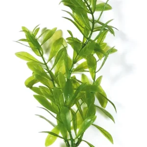 Marina Aquascaper Hygrophila 20 cm Preisknaller