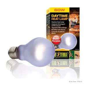 Exo Terra Day Glo SG A19/60 W Top-Seller