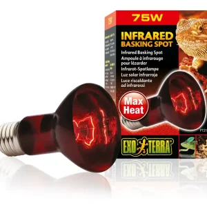 Exo Terra Infrarot-Spotlampe Heat GL R20/50 W Günstig