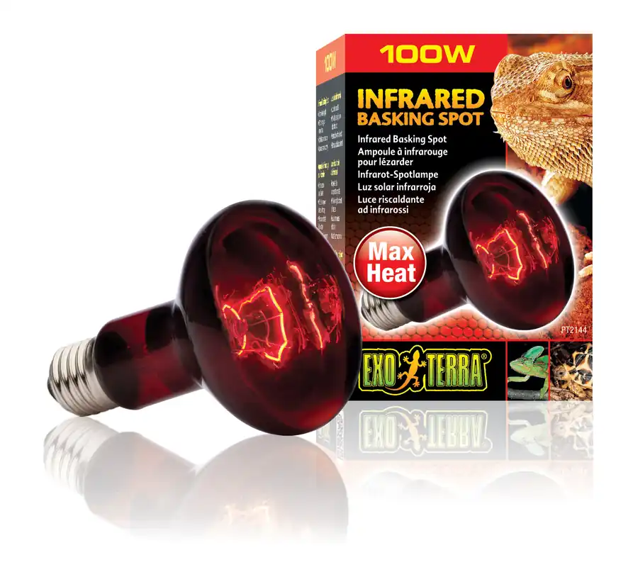 Exo Terra Infrarot-Spotlampe Heat GL R25/100 W Jetzt Bestellen