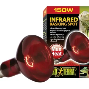 Echt Exo Terra Infrarot-Spotlampe Heat GL R30/150 W