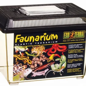 Exo Terra Faunarium klein Schnäppchen