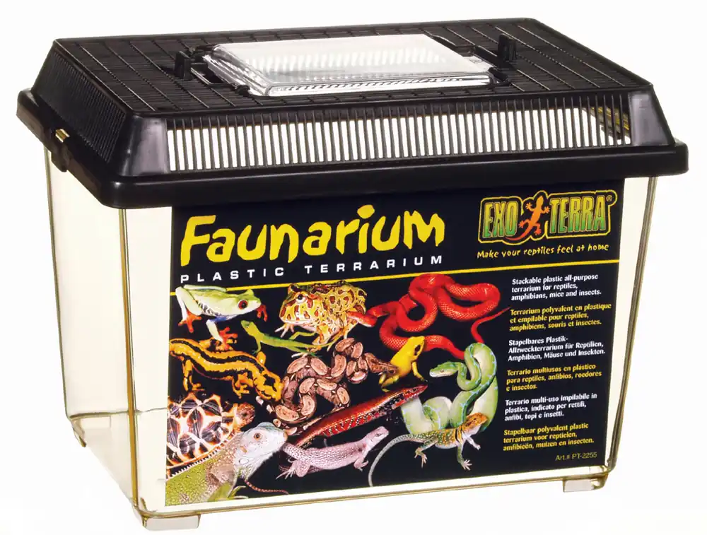 Exo Terra Faunarium klein Schnäppchen