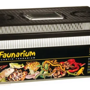 Must-Have Exo Terra Faunarium groß