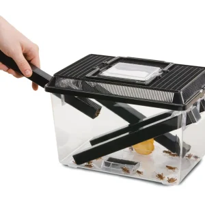 Exo Terra Cricket Box mit 3 Röhren + 2 Schwämme Neu Im Sortiment