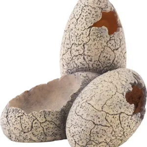 Exo Terra Dinosaurier Eier klein Preisknaller