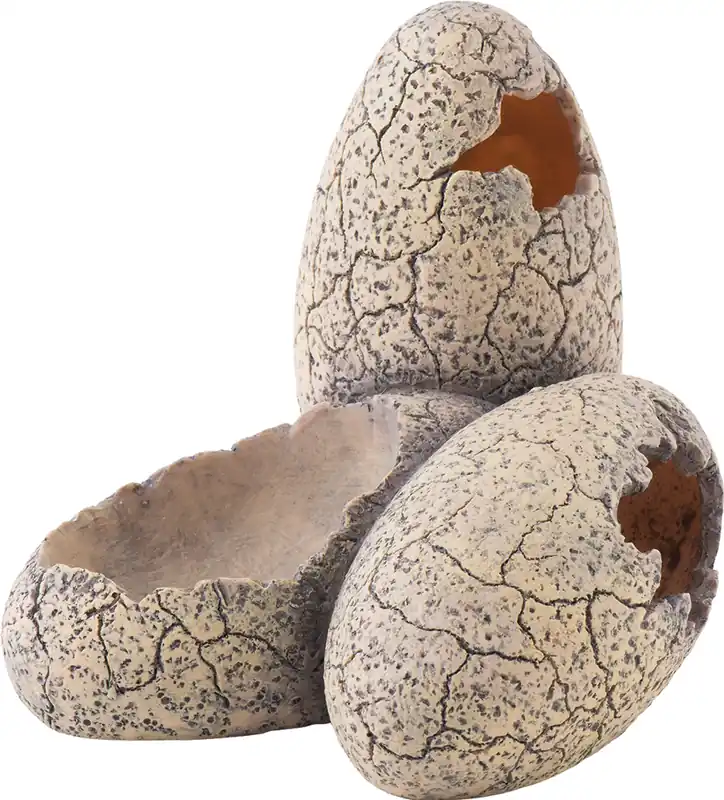 Exo Terra Dinosaurier Eier klein Preisknaller