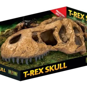 Exo Terra T-Rex Schädel Saisonangebot