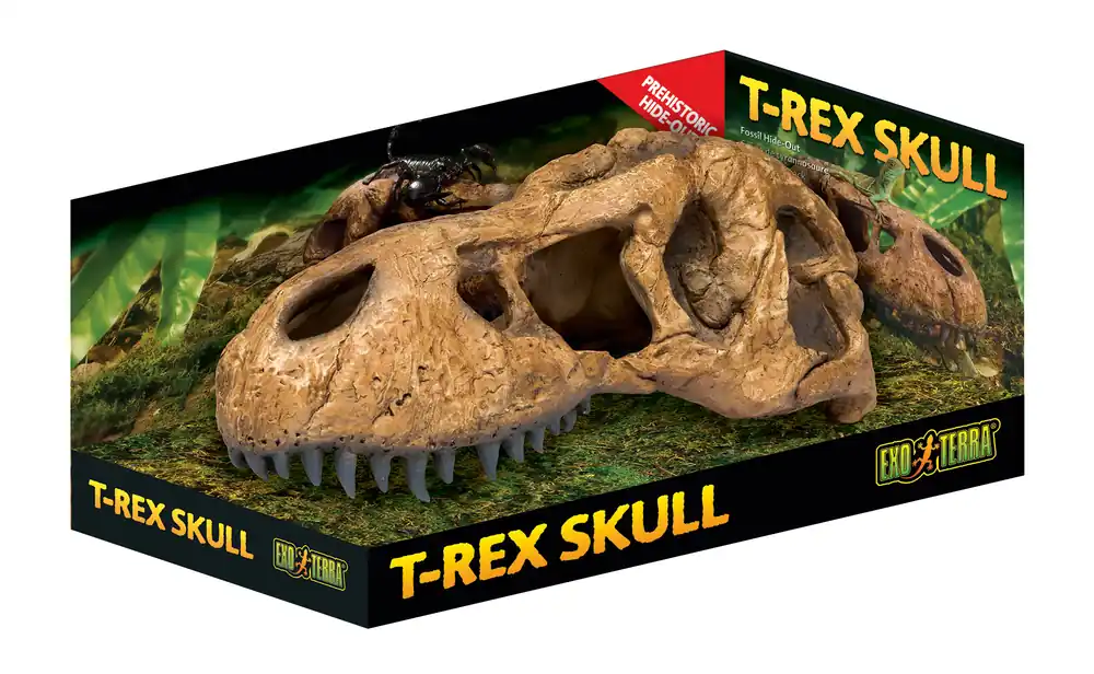 Exo Terra T-Rex Schädel Saisonangebot