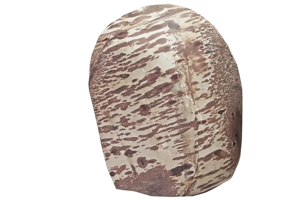 Hobby Cattle Rock M (1,0–2,0 kg) Highlight