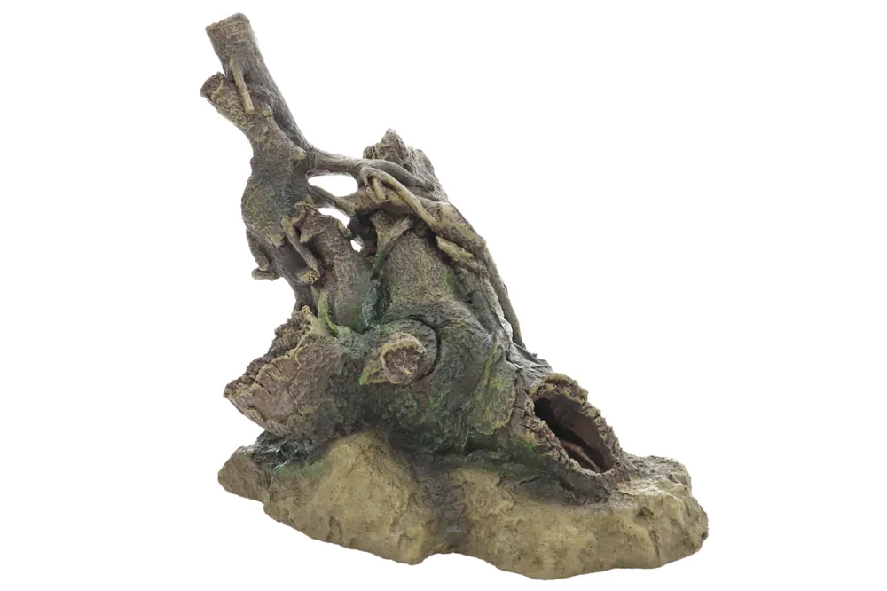 Nur Für Kurze Zeit Hobby River Root 1, 33,5 × 25 × 17 cm