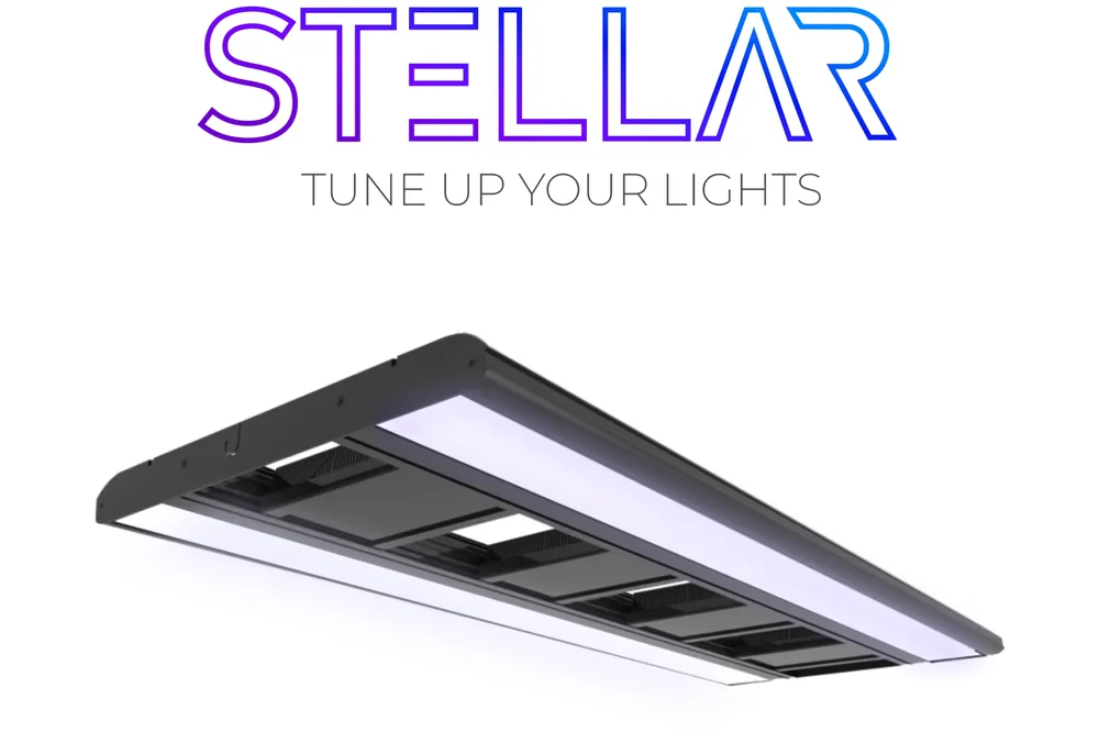 Mega-Angebot Giesemann STELLAR LED Tropic, 900 mm - 2 x 70 W, iridium
