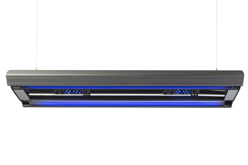 Mega-Angebot Giesemann AURORA V8 Marine Hybridleuchte, 1200 mm, 4 Cluster, 8 T5, iridium