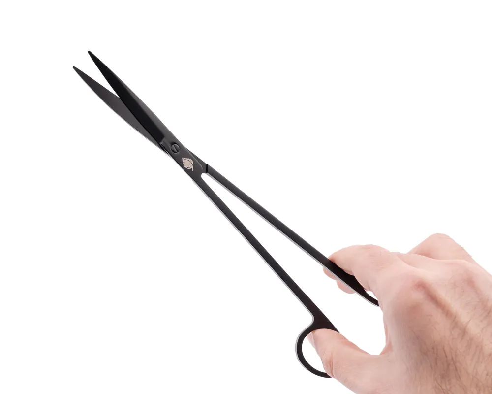 Wochenendangebot NatureHolic Scaping Scissors straight black, gerade Pflanzenschere, 25 cm