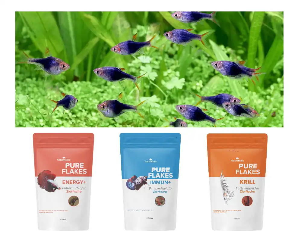 NatureHolic Flocken Fischfutter Bundle, Krill, Immun+, Energy+, 3 x 250 ml Zertifiziert