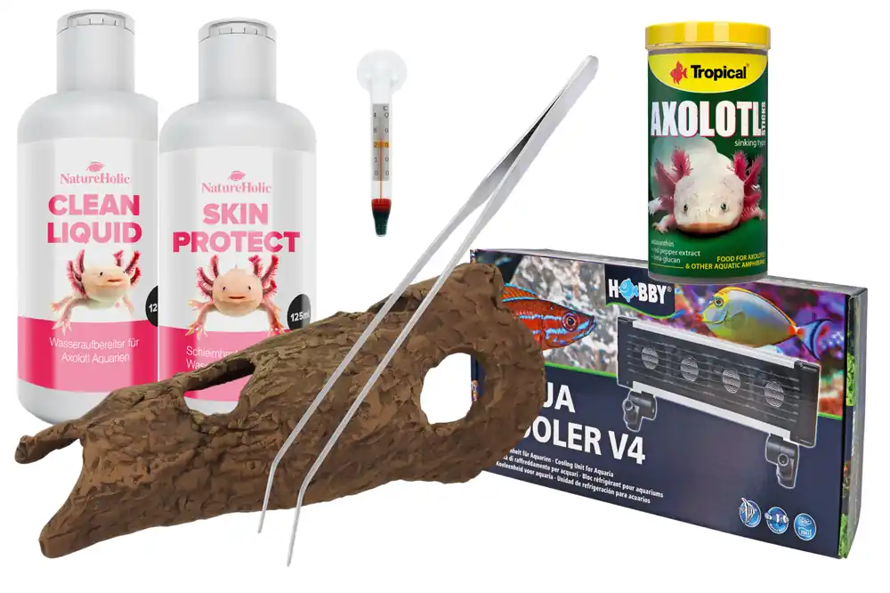 Axolotl Starter-Komplettset XL: Kühlung, Hautschutz, Höhle & mehr Preis Gesenkt