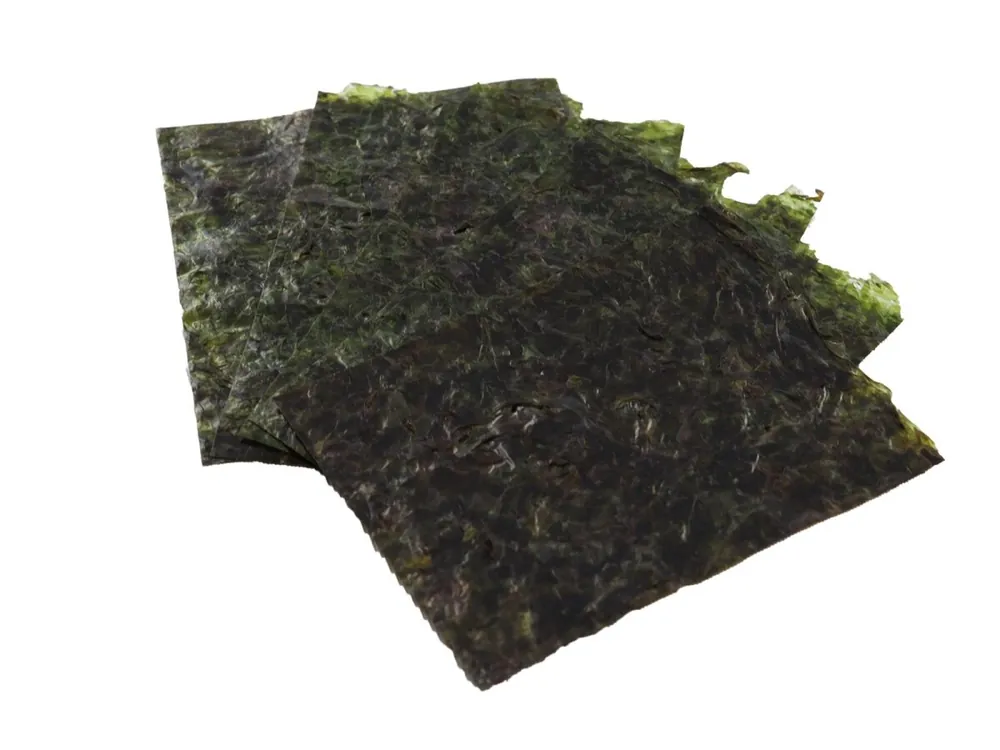 Beliebt Feuilles d'algues 5x6cm 6pcs