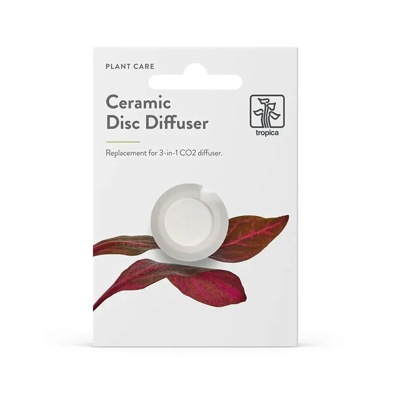 Aktuell Disco in ceramica