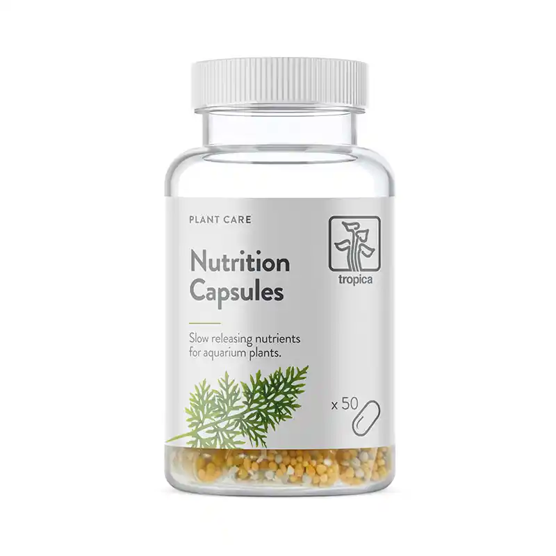 Nutrition Kapseln 50 Stück Nur Für Kurze Zeit