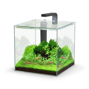 Heißes Angebot Kit aquarium Kubus 22 L LED