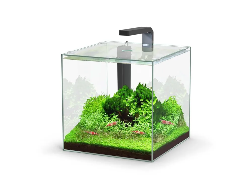 Juego de acuario Kubus 22 L LED Knallerangebot