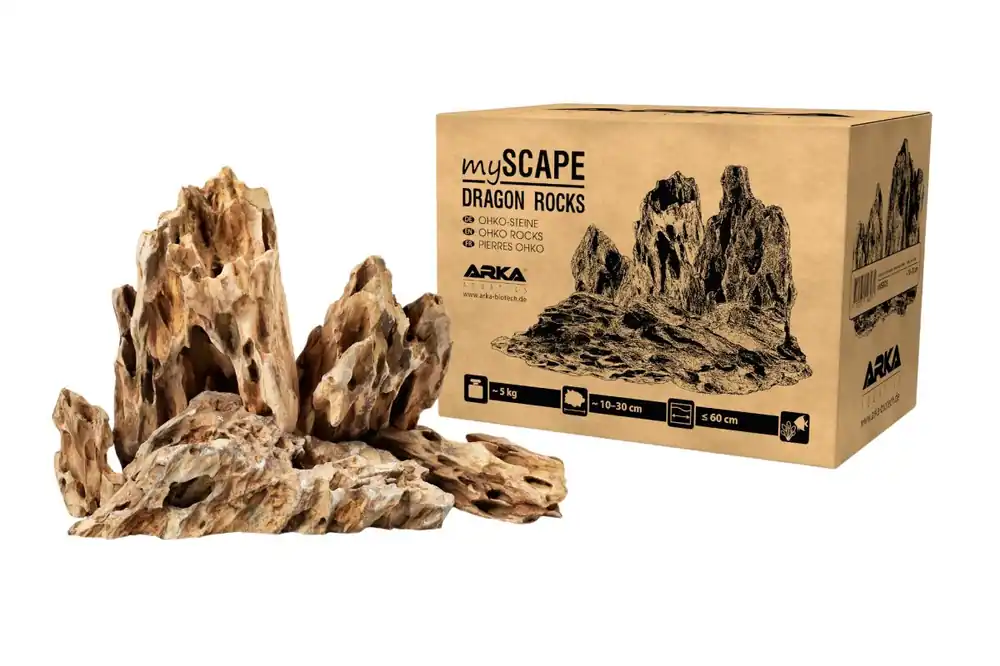 myScape-Rocks Dragon roccia naturale Ohko di circa 10-30 cm, 5kg Kracherpreis