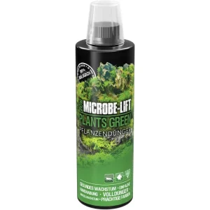 Meistverkauft Plants Green - abono líquido completo para plantas