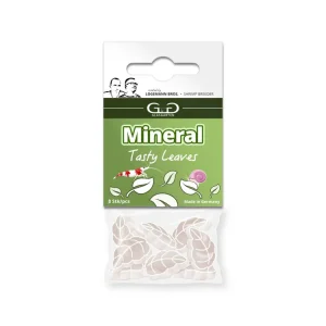 Echt GlasGarten - Foglie minerali