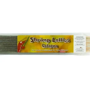 Sucettes de crevettes Catappa Billig