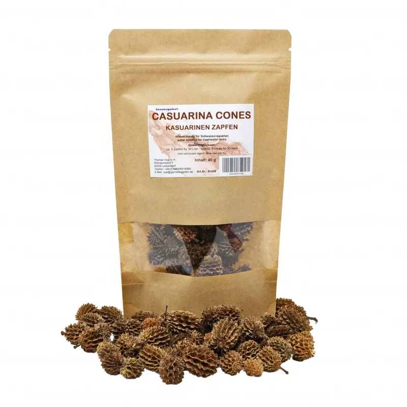 Kasuarinen Zapfen - Casuarina Cones 40g Mega-Angebot