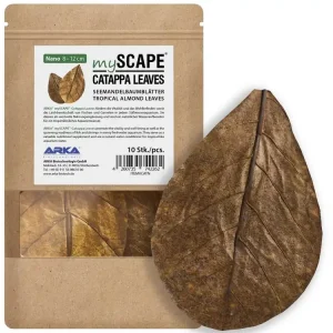 Catappa Leaves Nano 8-12cm 10pcs Günstig
