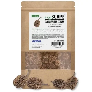Casuarina Conos 1-3cm 50pcs Abverkauf
