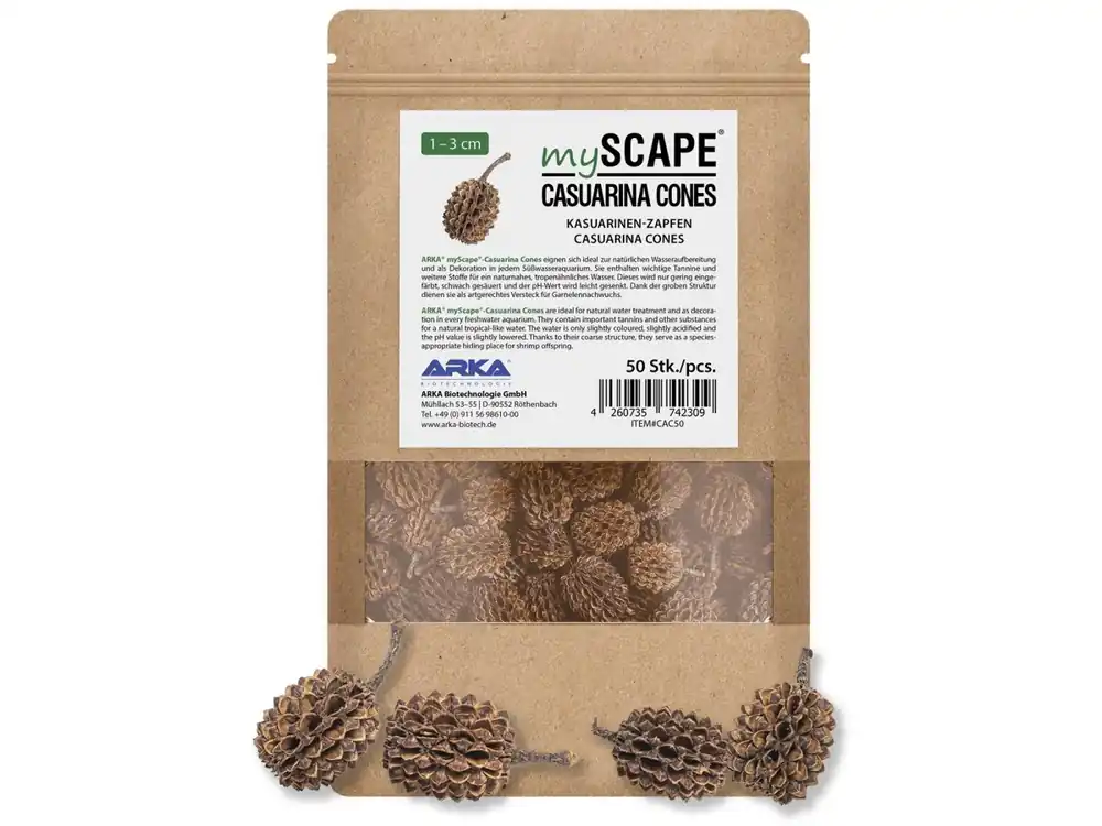 Casuarina Conos 1-3cm 50pcs Abverkauf