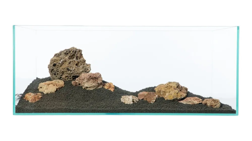 Petrified foliage Top-Seller