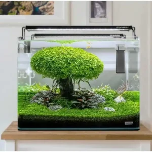 Bestseller Heizstab im Garnelenaquarium: Ja oder Nein?